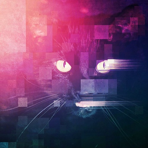 02ec5fabef5b5eca1e44da9412eeeb7d01cd2d9d261a1c2638e358f6c2daf219.image.jpeg