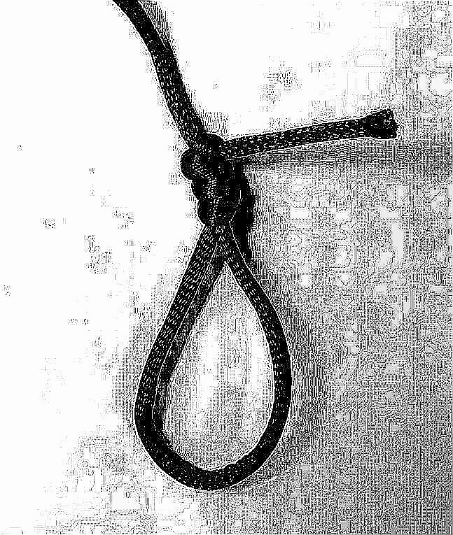 05162326353d33d9cf643fbf354c1e70d232705347553d8556b6d92cf78d37e6.image.jpeg