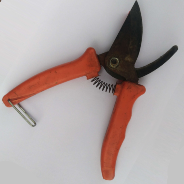 06d60fbf741d00d17ab2836f36ad52916b10a2a8c57b84ee0d70f7976dfa2cda.image.png