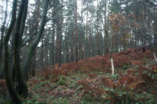 07f68dd649ccd5728e8d3ed92a425158f6dcbec63459886612e52ba9928118e4.image.jpeg