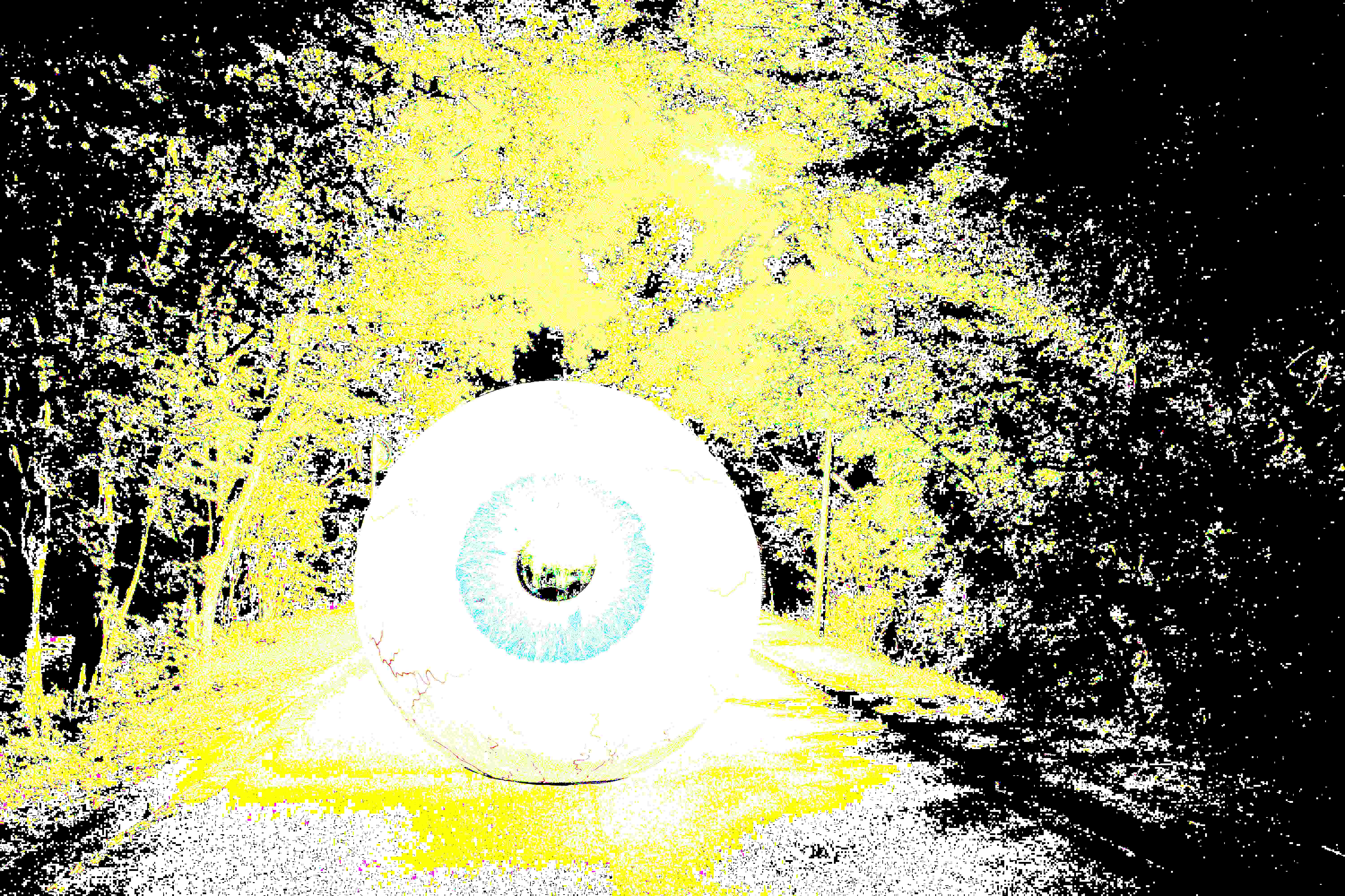 09155694e29ef93140fb9b7e90b7b1d439c93b40fd4dd52d636edf841c9054b8.image.jpeg