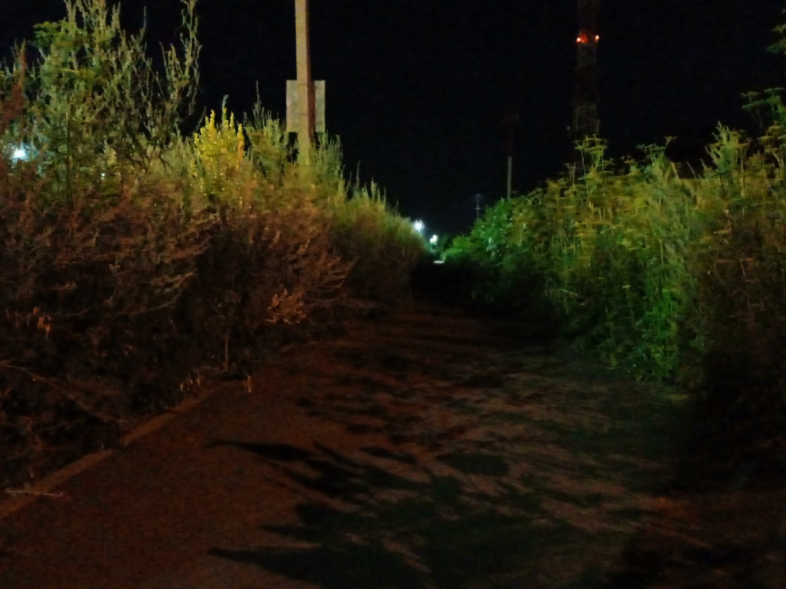 09b100b12ff21e71dae2f747498e8c5a320213e0be4cf87e3adaee45640c8cd1.image.jpeg