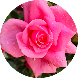 0a58123337d289ec4299b11d538cc38d624960ee87fd8a8b0dab52298a45ac79.image.png