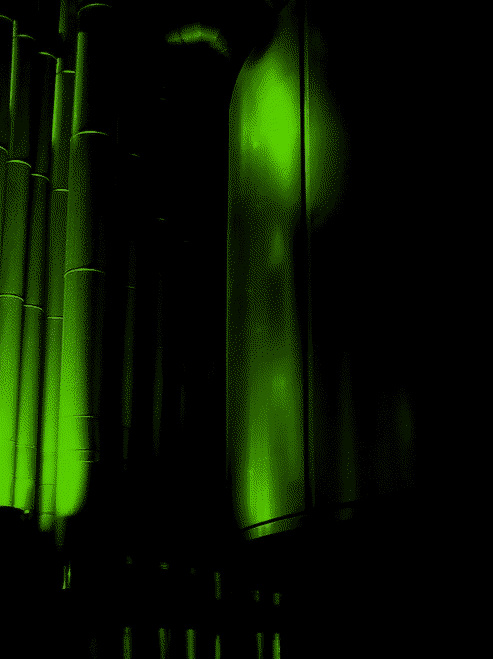 0b838347f91556b798281da2c9d8ed7c85733bb08ccaa6f7b382e79009fe8b6f.image.png