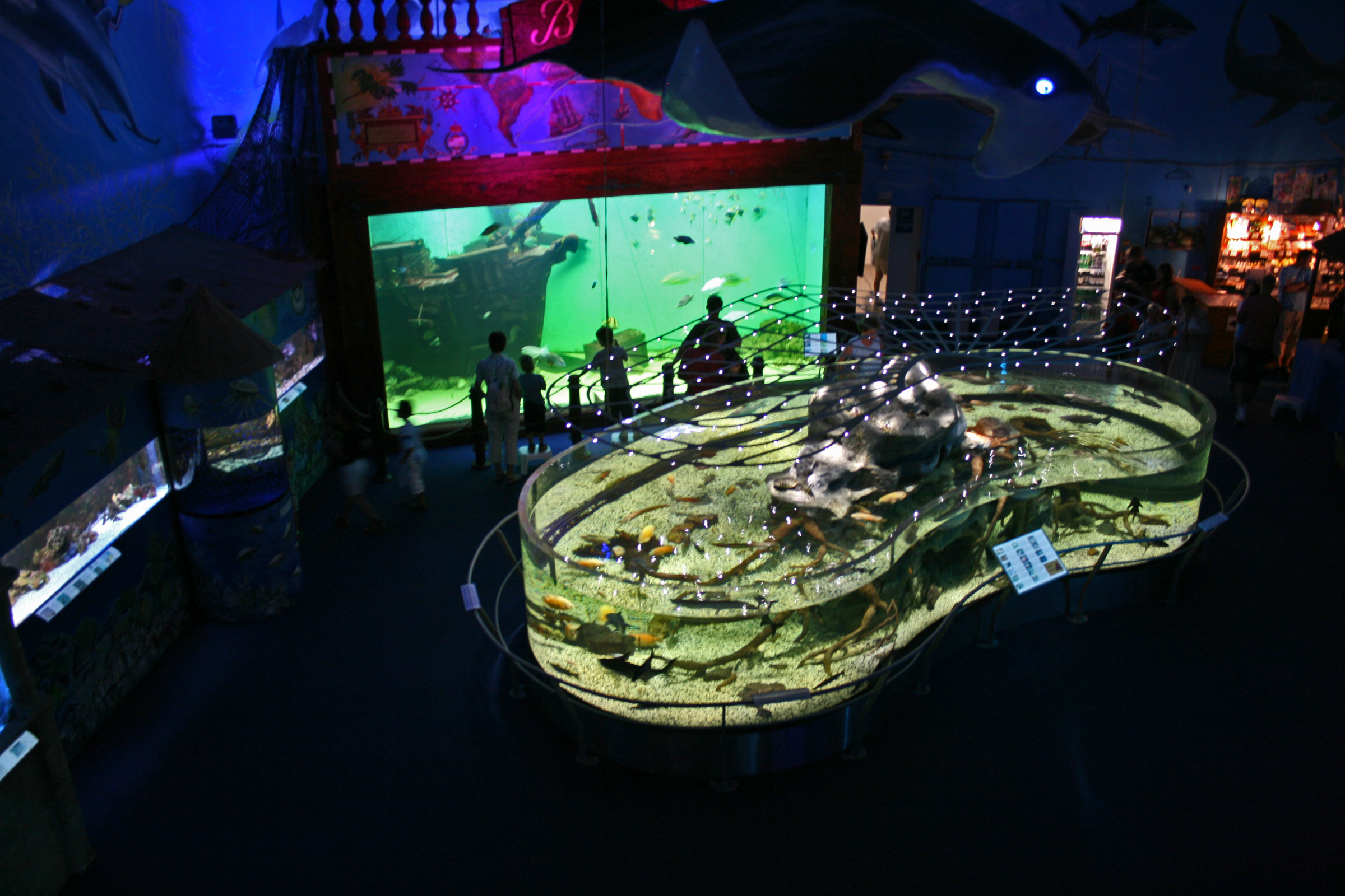0d396240ff83d2dee5287f3f92f210a7f8fe530a5d505337af4106ee76b8cb3b.image.jpeg