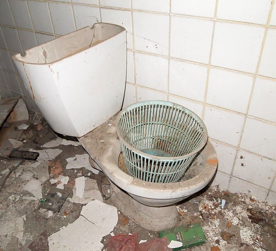0d3ae48a5b17362a701e1421935a322c26bc8f0635f3637176081dd54d943ef5.image.jpeg