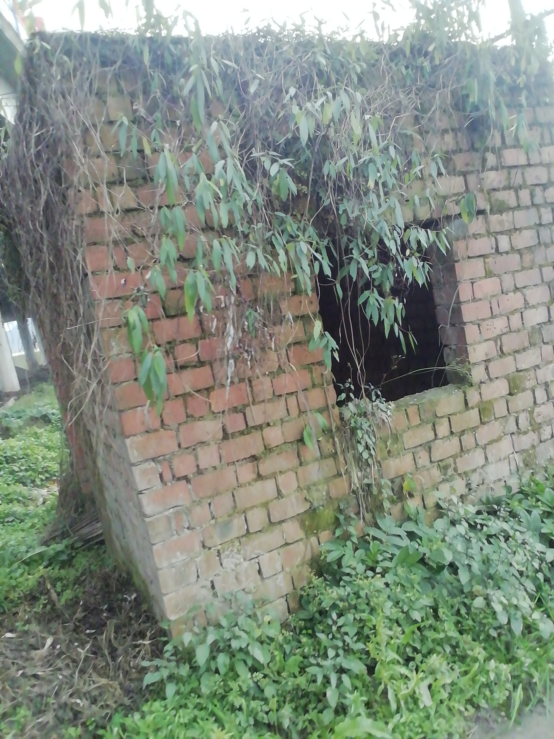 0ed30b2121d73227da89e5bd7f4247975551edbb41de33dd2c43e1b6e7ab5fe2.image.jpeg