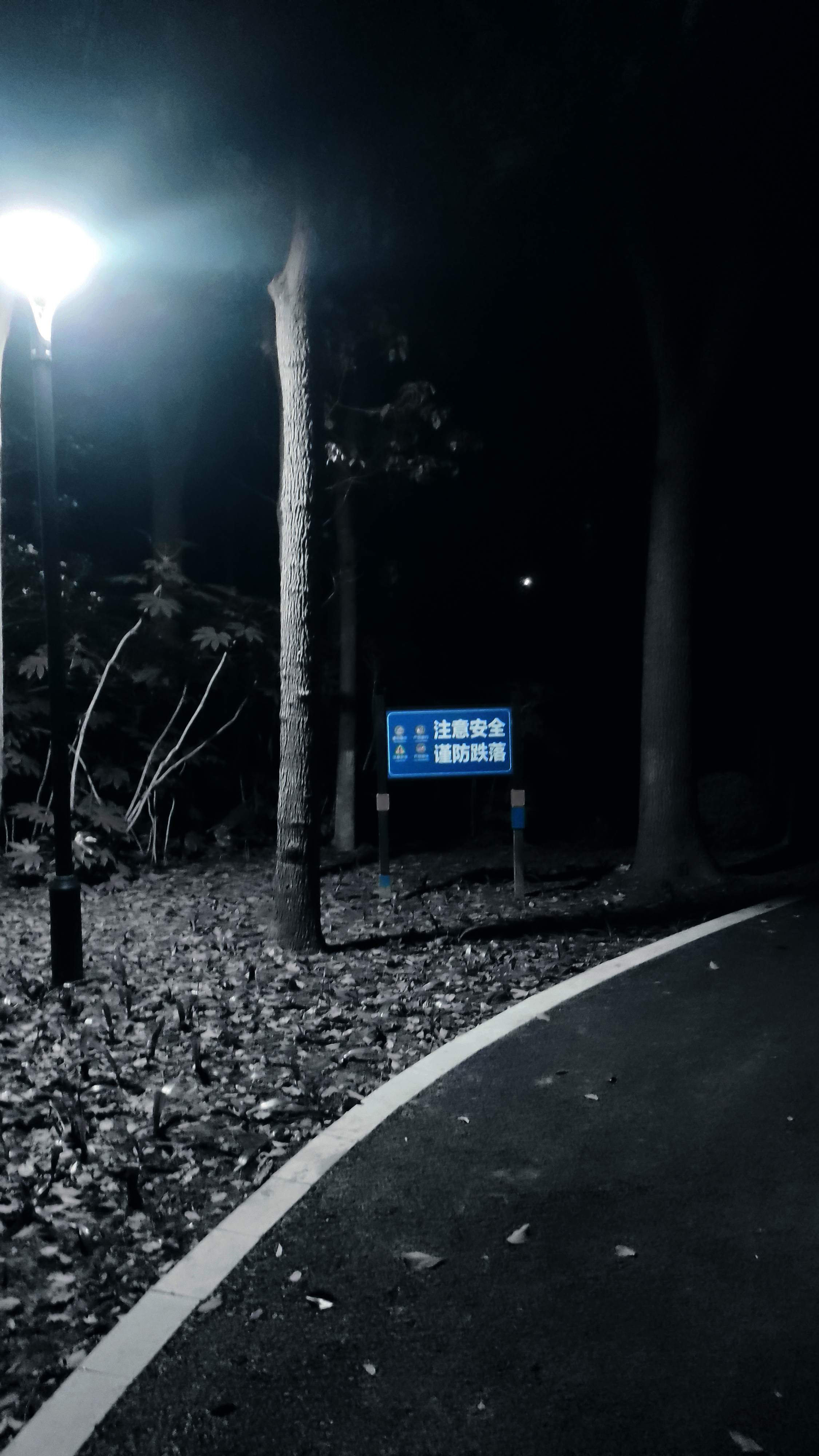 13b3f70a3fcc460b40a76215213171e1d82cb4cdc90ece1bfced2d31eb0f88ef.image.jpeg