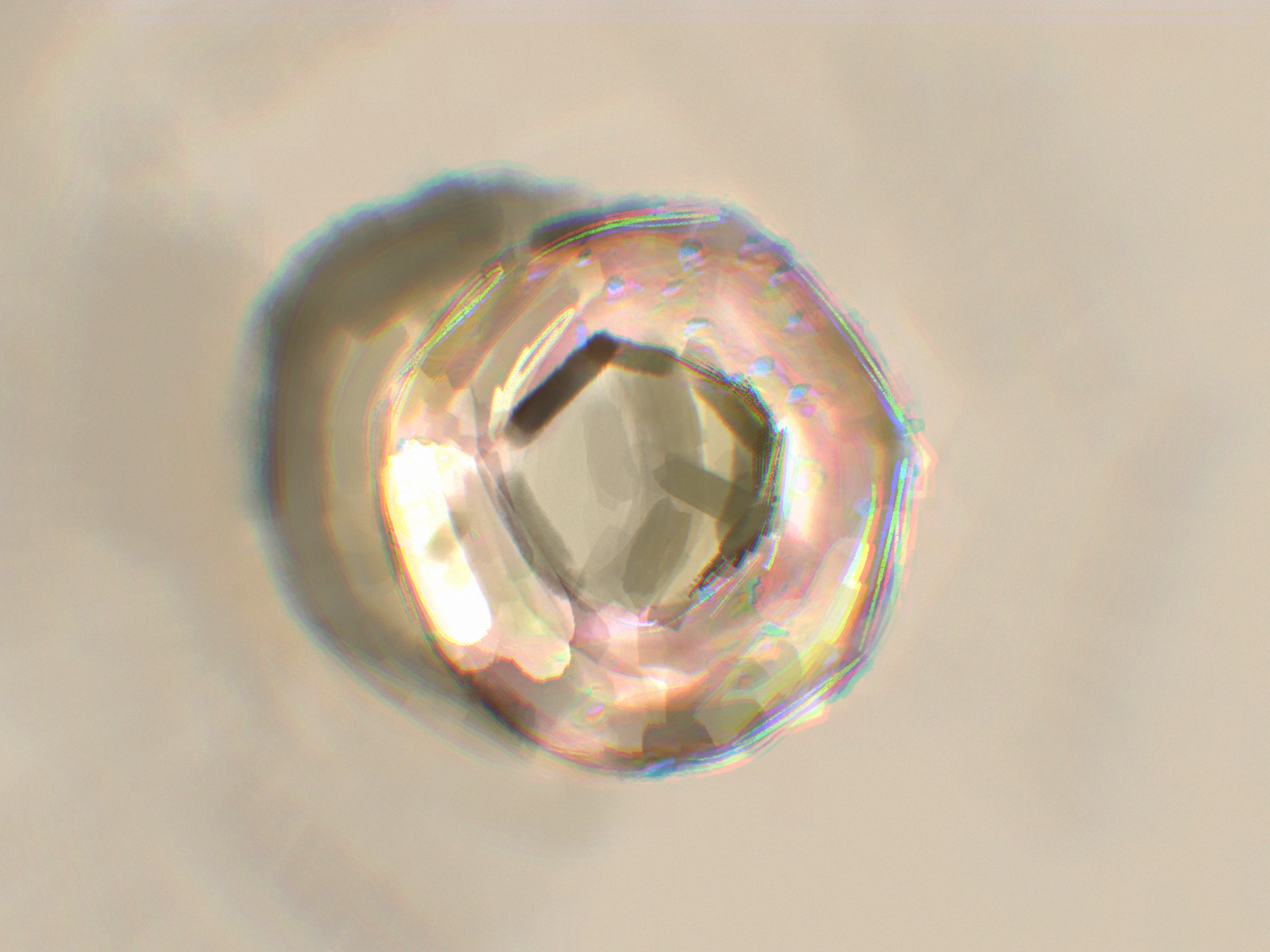14af87666a2c70cd6c76bac31f81560c0af3dc9b457845daa8db9770dd50c60f.image.png