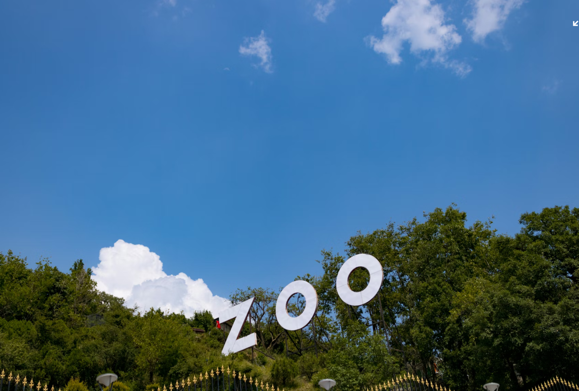 1a0d932c49d59917f85dfc7ee994934ea39640e9821b32a3830ea7feca82480b.image.jpeg