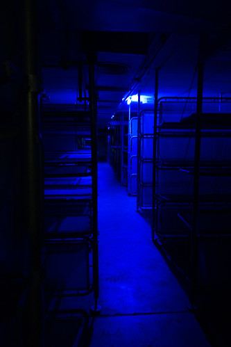 1bf3147669451629100795f66f181fe63b1b9657fbe2c69f1d8e57ff7aa9d262.image.jpeg
