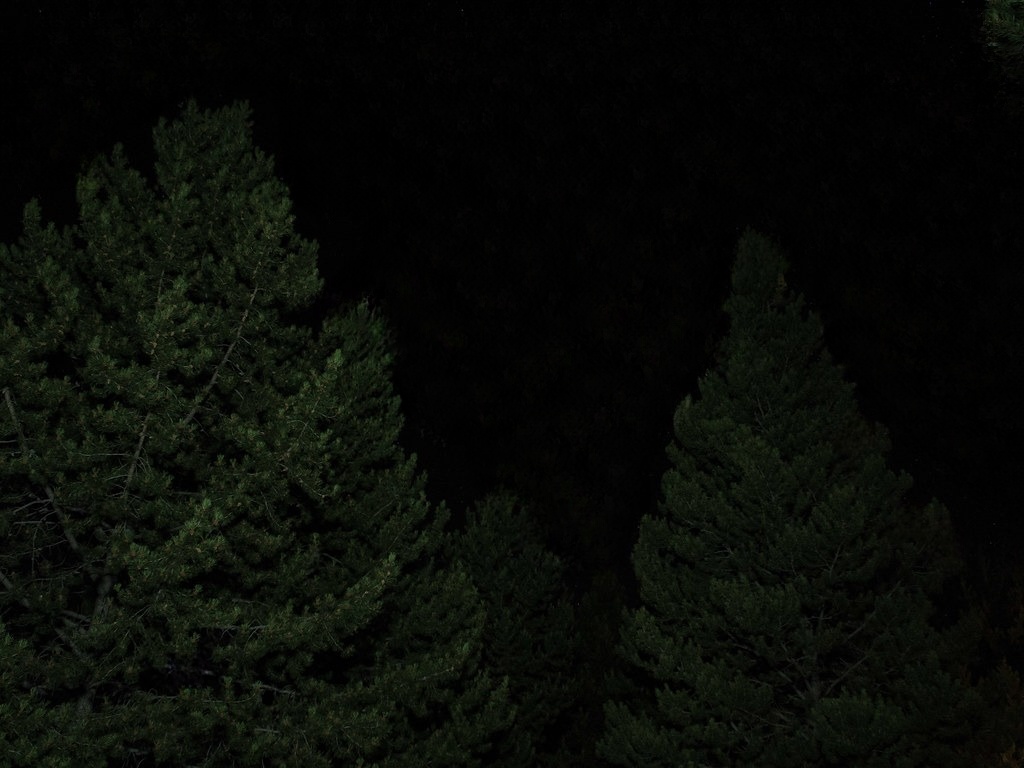 1dd786818eddfc7a9f84cbf1485c92b7ae579c54e1658469bc327eeb452c0524.image.jpeg