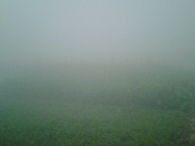 1ddd542f16f8ba0204021ceba496b1268b2fc1ed8ecb30c5d05fb07710eea00e.image.jpeg