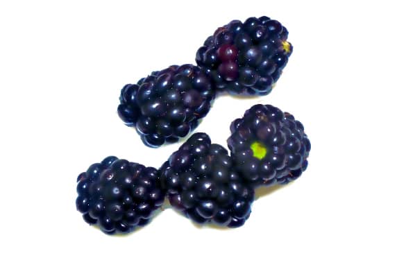 1ee9e5b05cfa785544bee920b54fdbd90f4ac9f58e80f93e03bd508f0d1ba8d6.image.jpeg
