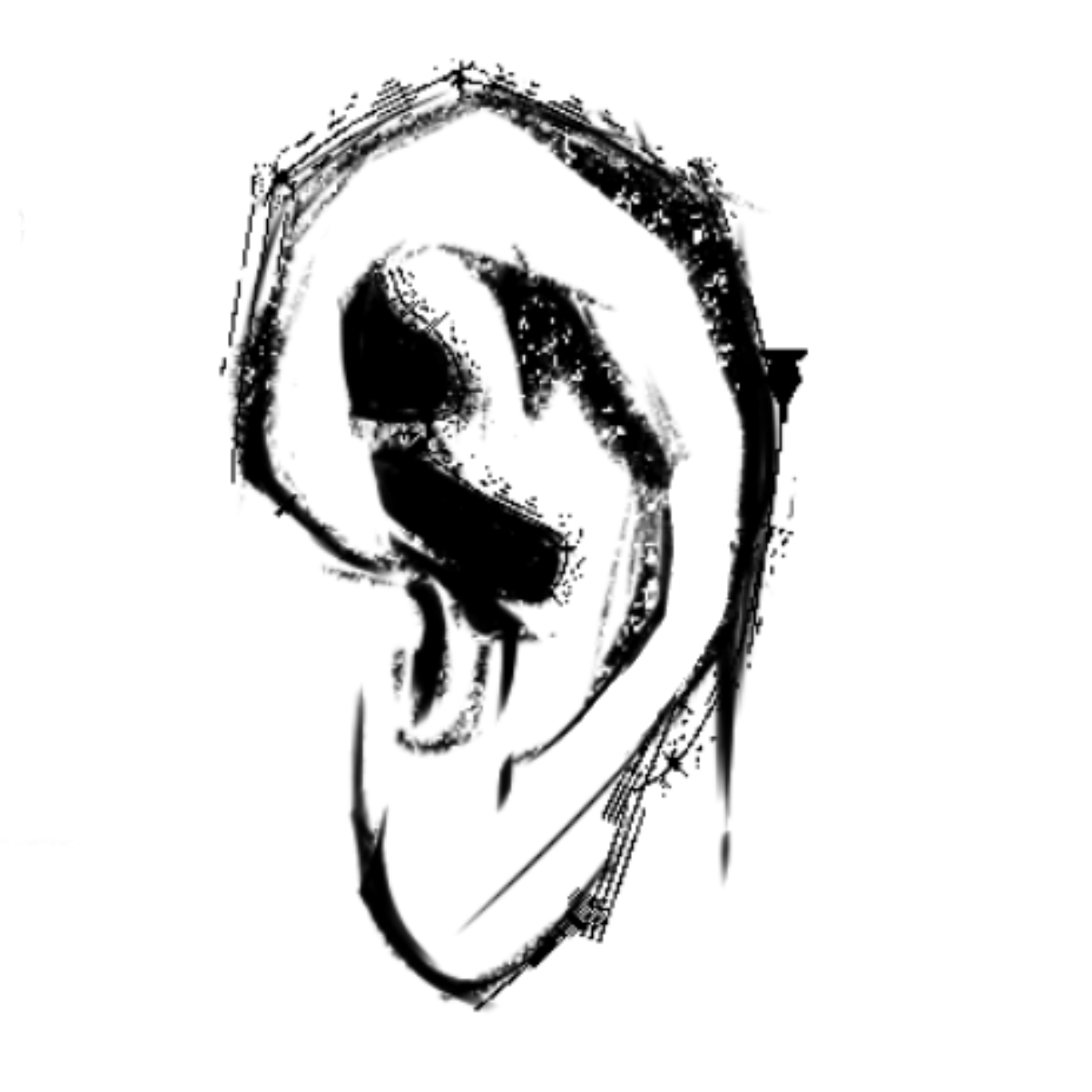 20044bfad684eda0acb085affd211018e98468fb09ba19662693618f53a87306.image.png