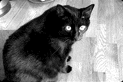2253ae8f3c21531f137d353ff48505351cc0b2279d693bd70b16f735e3608904.image.png