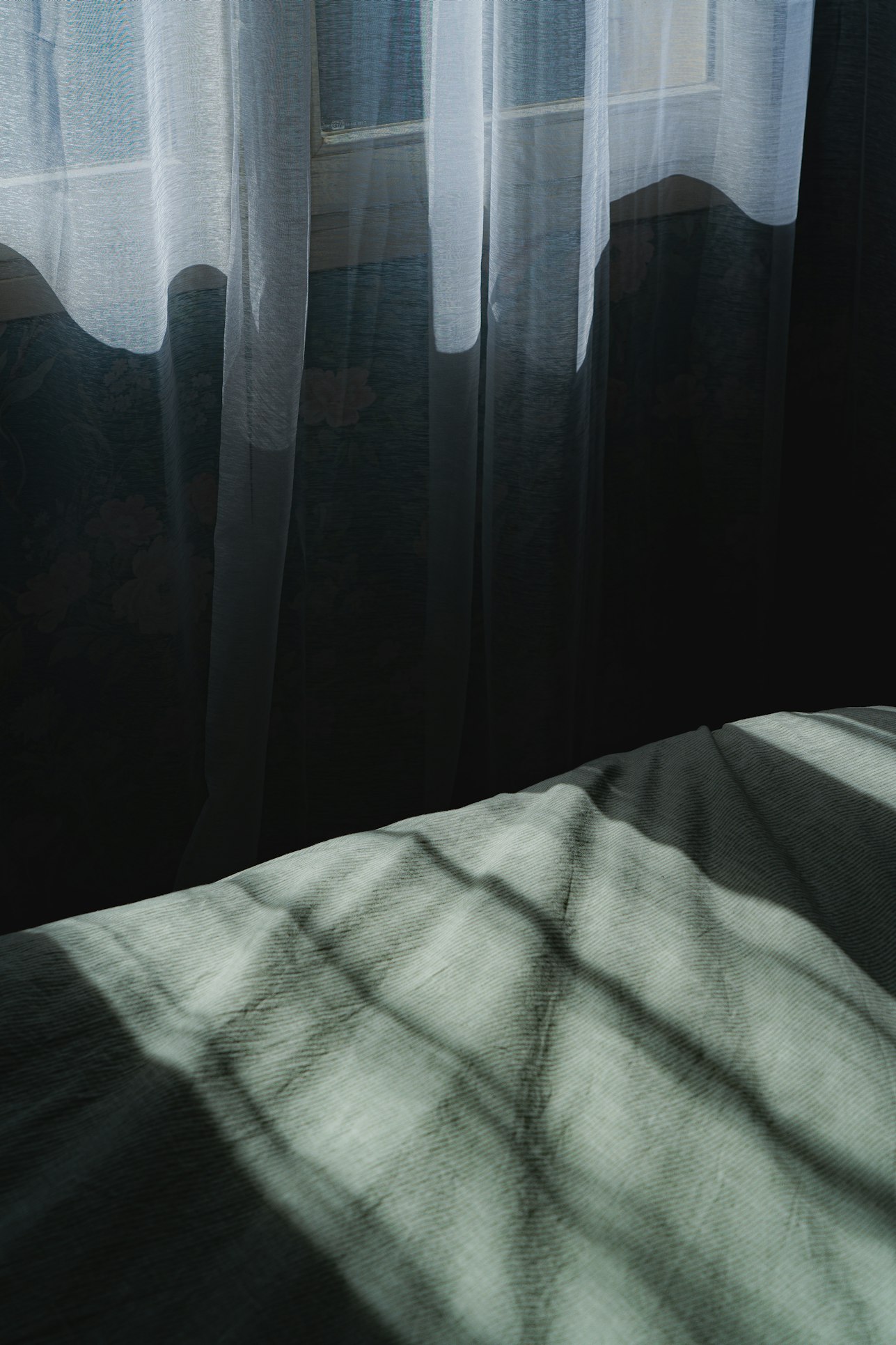 2384246de581267e09b02453ca02dfd83183b4702872f4e4726b68f45608e4b7.image.jpeg