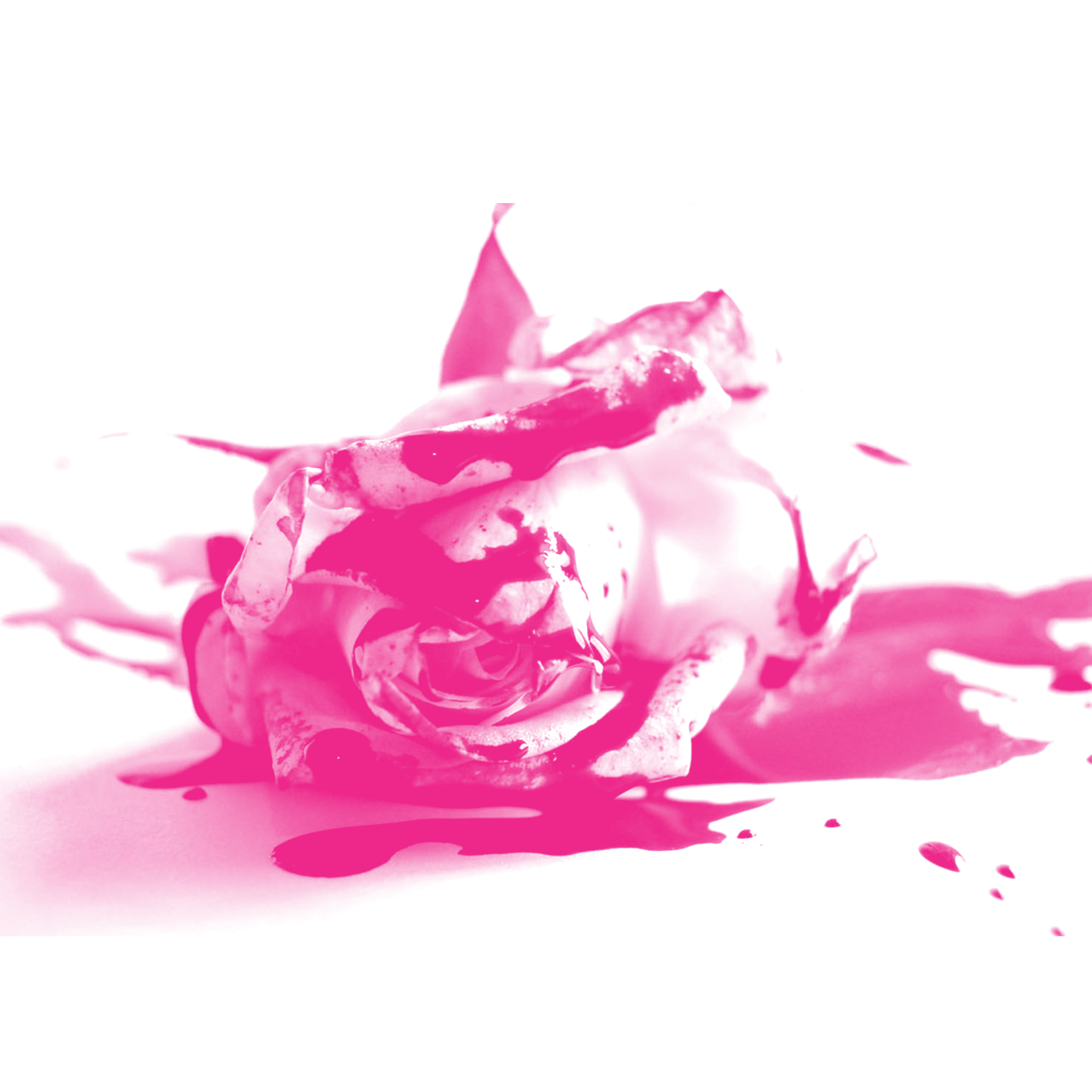 249c115931125496320ef32fe5d4ef34c0e72155fb6f6b013ff34b2514a262af.image.png