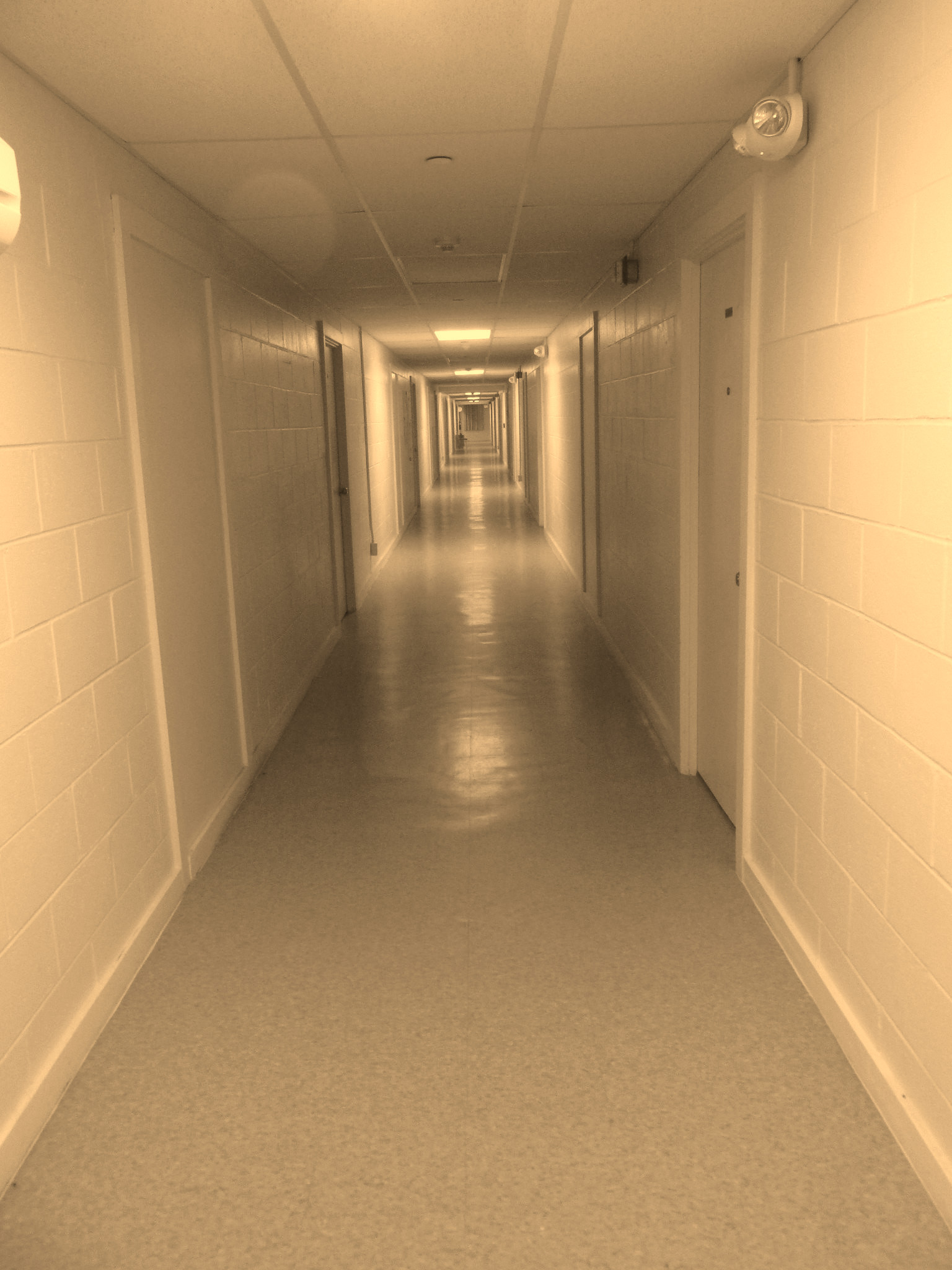 25578ff44b5494b5506a3ec1726b4f1f584ae66cbbddf42ead492170b9e148ed.image.jpeg