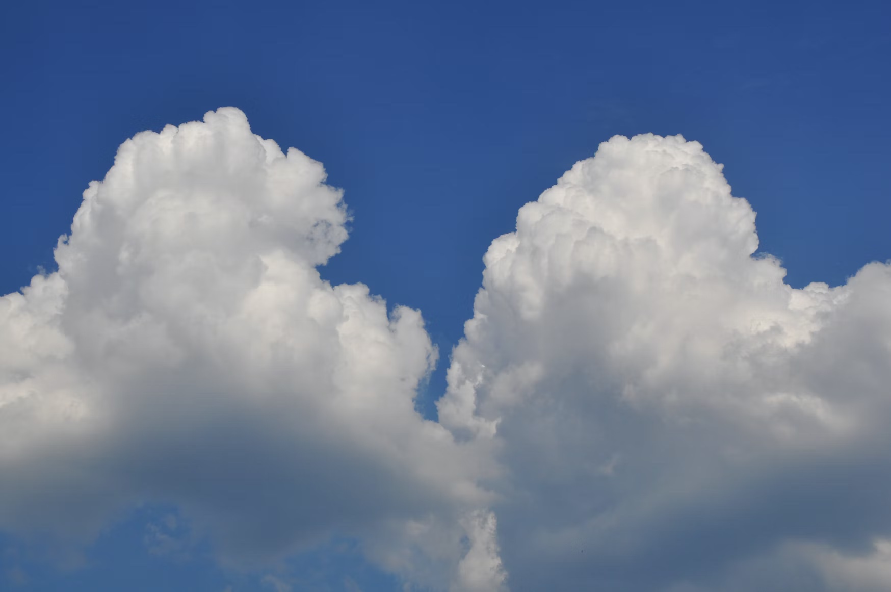 2b161af014be002370f1d8e68fb93197fc6c9a6b9043127f054a1b27fc551129.image.jpeg