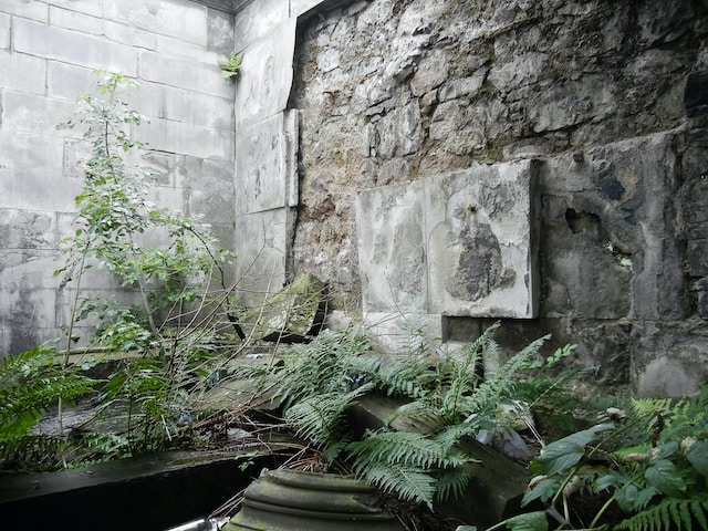 2ca61a99eda415033bf44e4df951eee77c52041d5d42aa133653a5b6937e0198.image.jpeg
