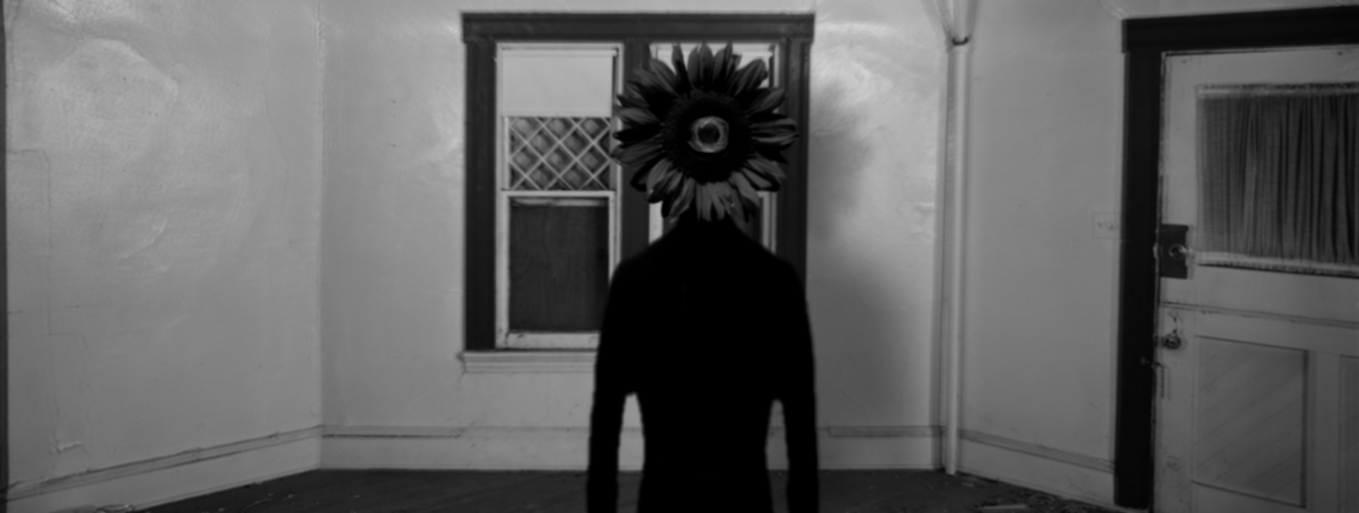 2d03fb5de6ef2404a69943197a0fd8d089deaf94838d117e552b3924c426a286.image.png