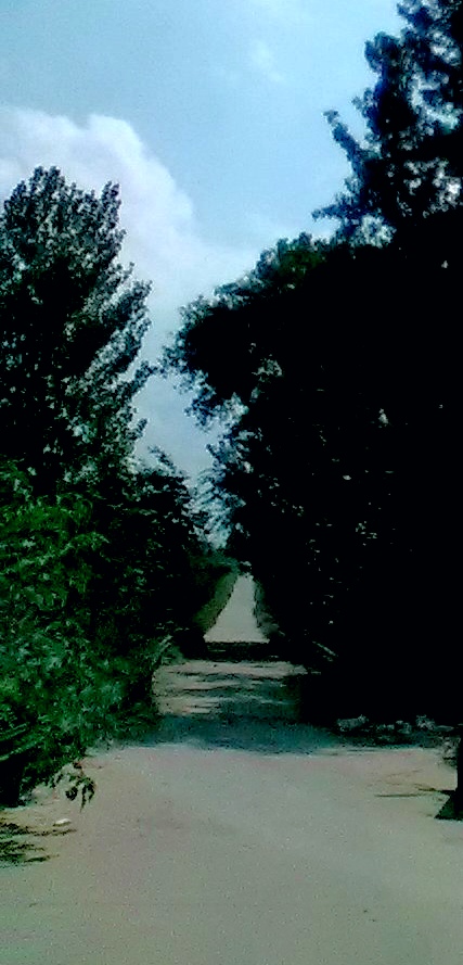 2d622f706e9d8d0850ec7b44bedf25b9b5306e79f0eb5b14cd603e3fb9e1716d.image.jpeg