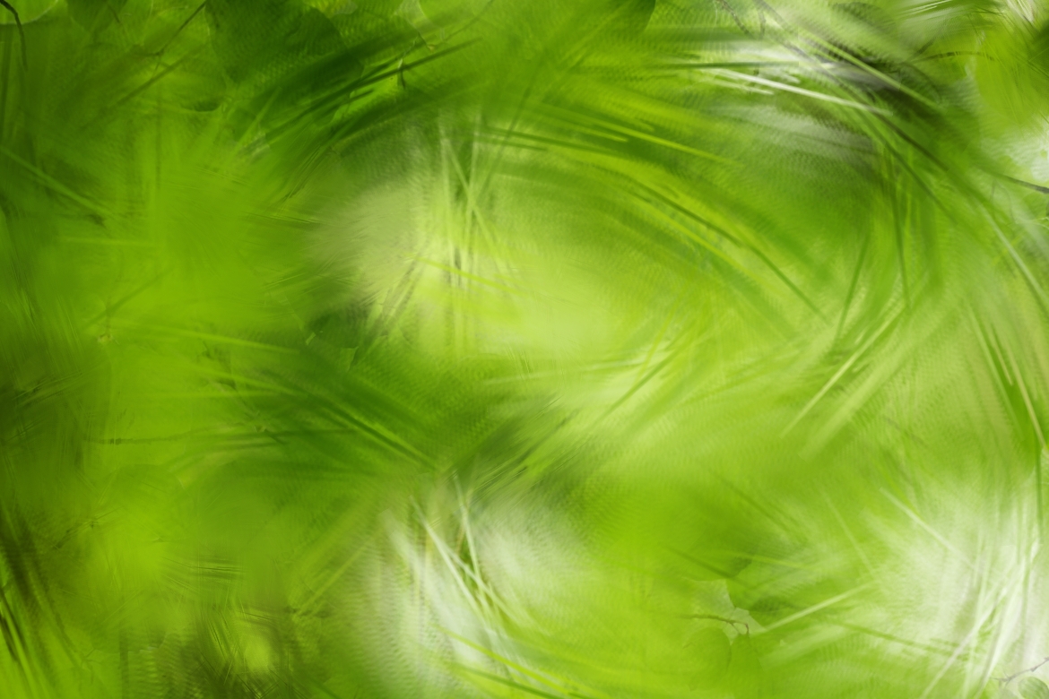 2ecda8779d62065de35240592a946560a38453691a02d9b9c354b2207ef800e6.image.jpeg