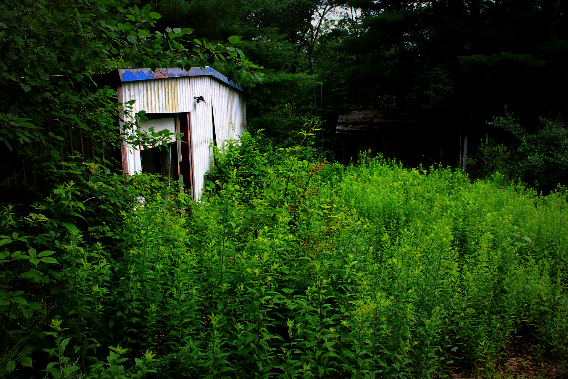 2ff2d333b4f2e0f7cdcabb3aa9c3c82f6c017ed11f527627ad374771db804cd8.image.jpeg
