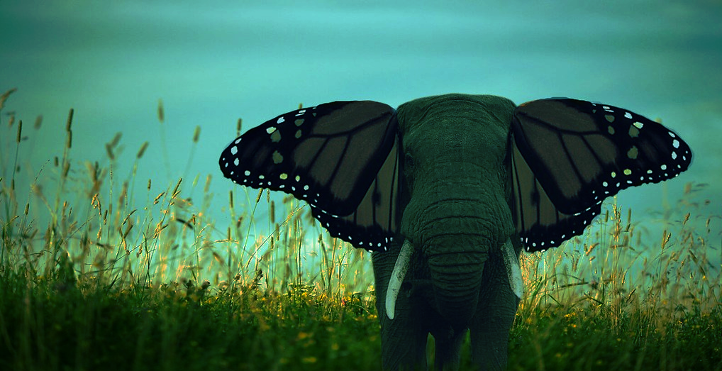 324308d8808af98101803dfa492a1ad2e69464807ee1e901d178d5914ea9f203.image.png
