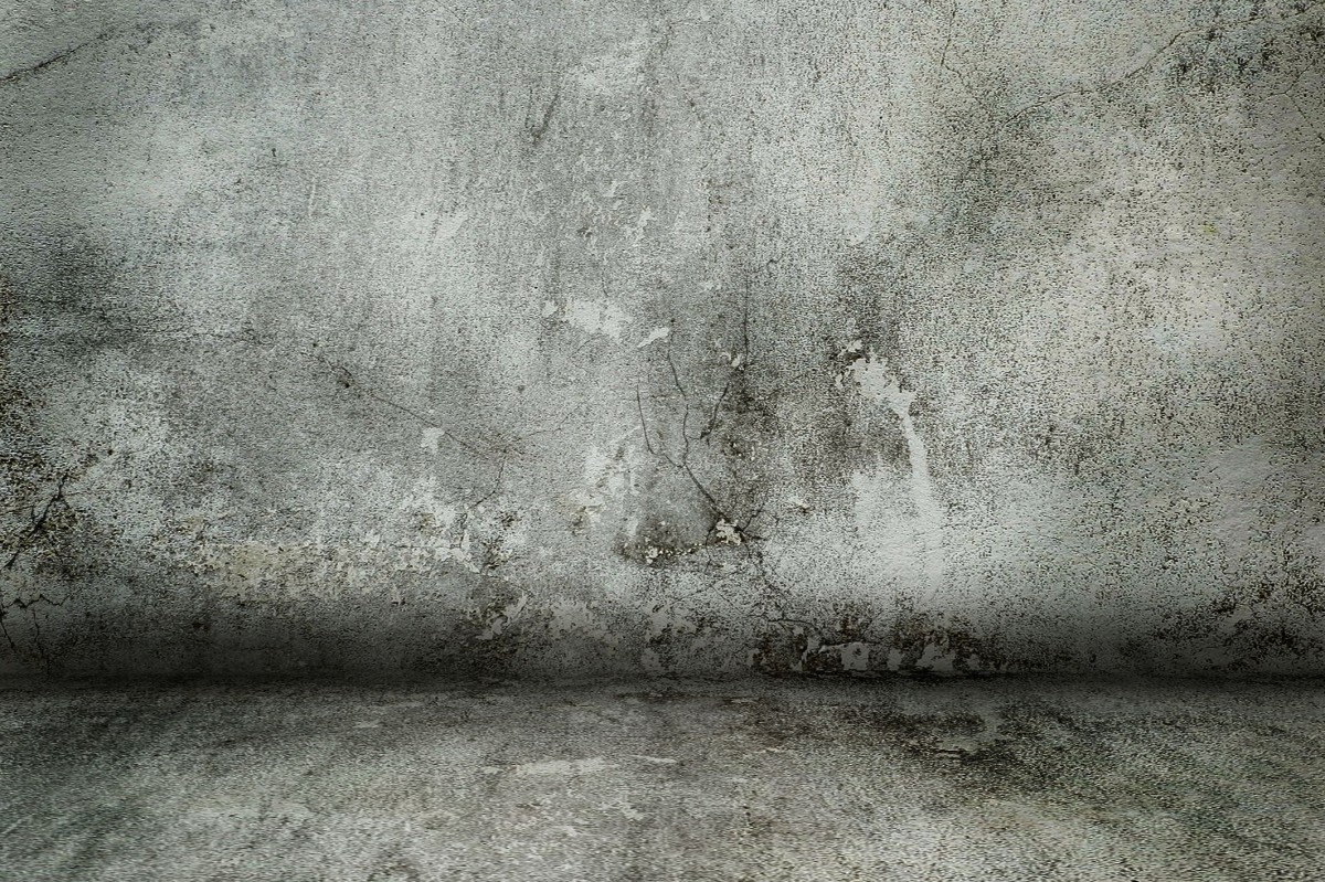 3638d29139baf60bedb13f9d7190ce578548761c9575893eb60d4700b107ac76.image.jpeg