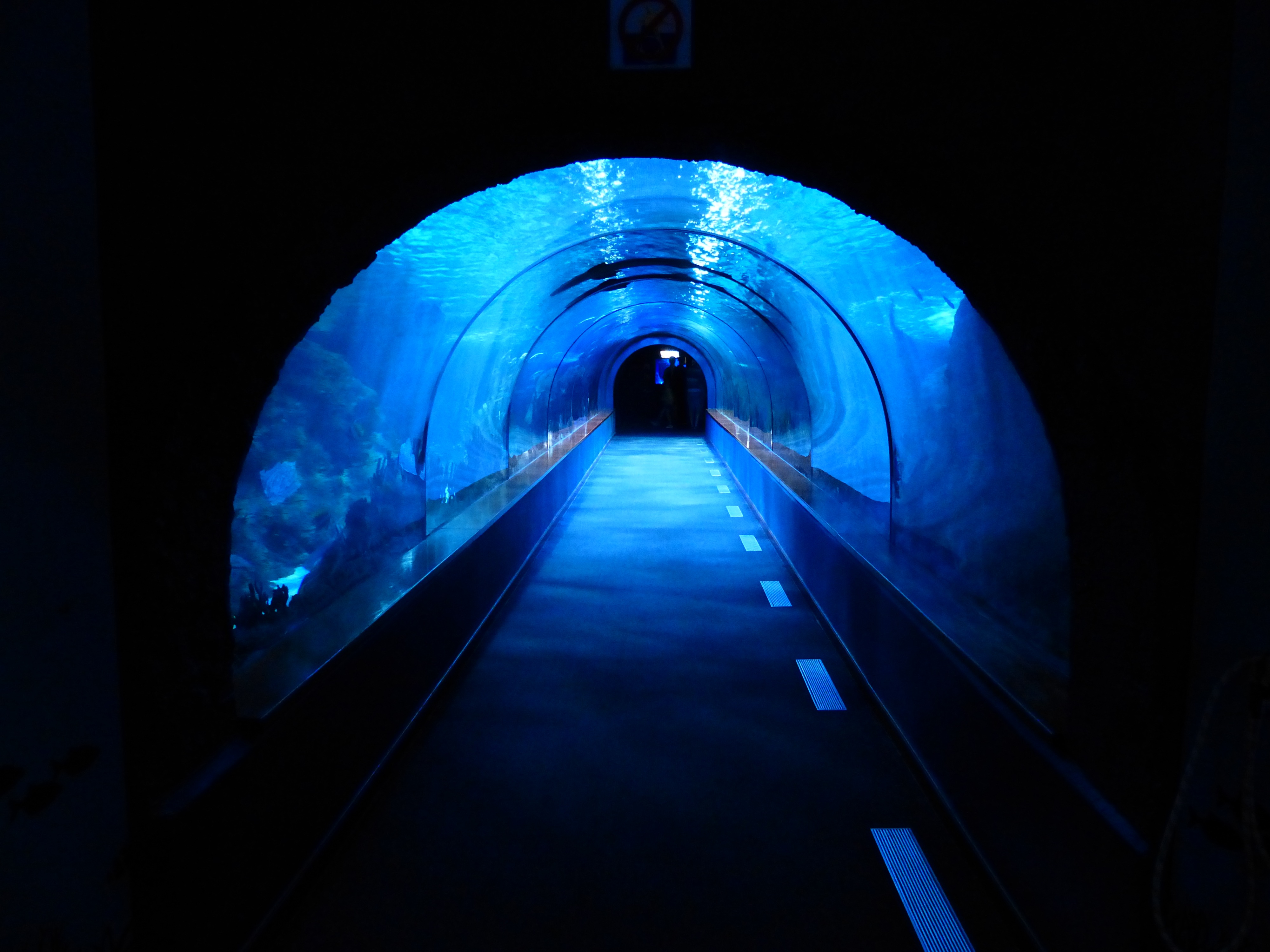 367a833368eba99fdb6066372b963f8077ad5981e765bcd0b194f1a4858a8651.image.jpeg