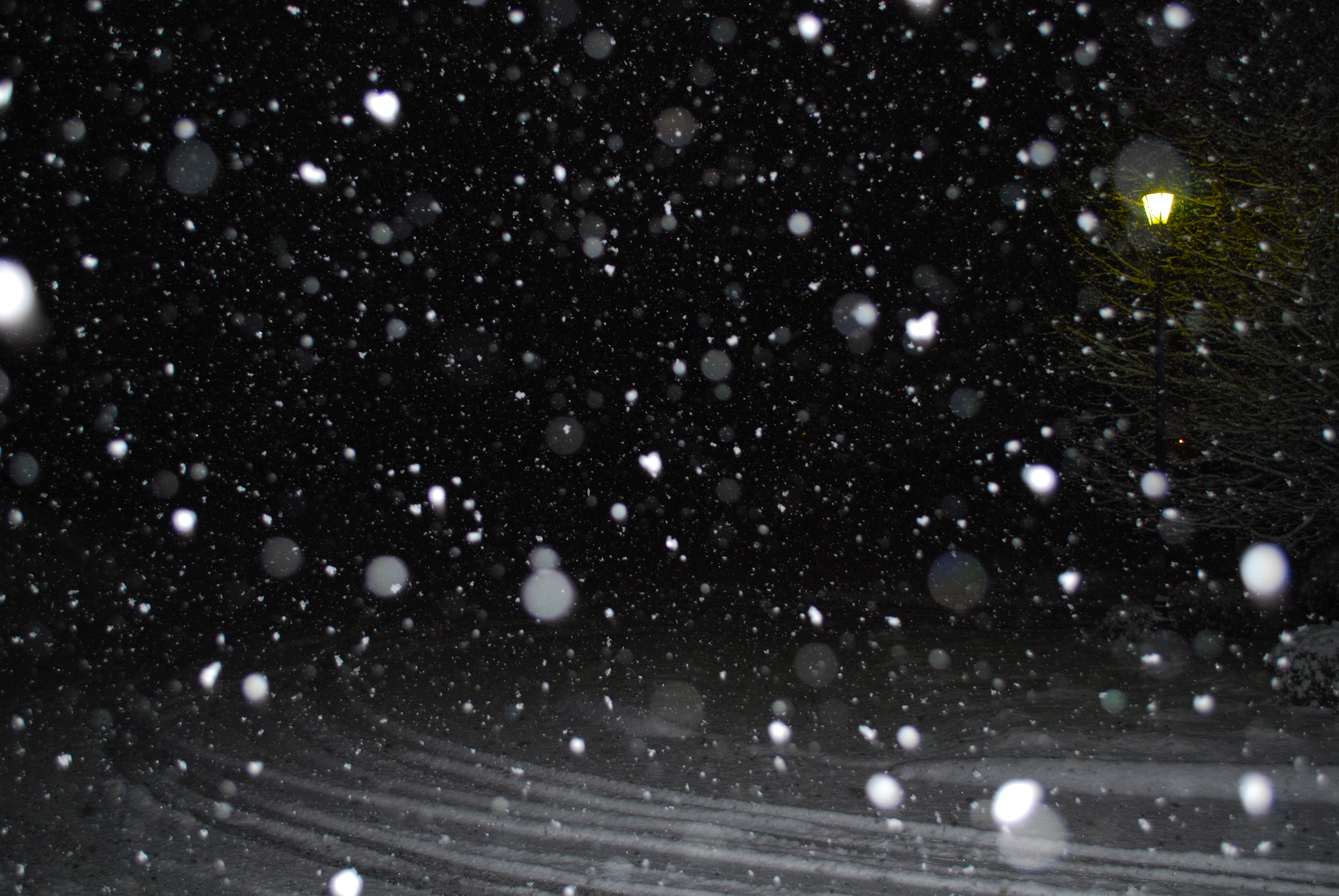 3714eac709ba4528682613c446a13abecff2df4e8427c1bd4bbf27b09ee301ef.image.jpeg