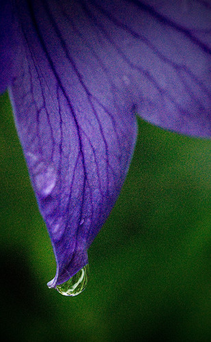 3a459754e72de32f46422313f03cc2535e08ab86cc85a42e308a65a351423707.image.jpeg