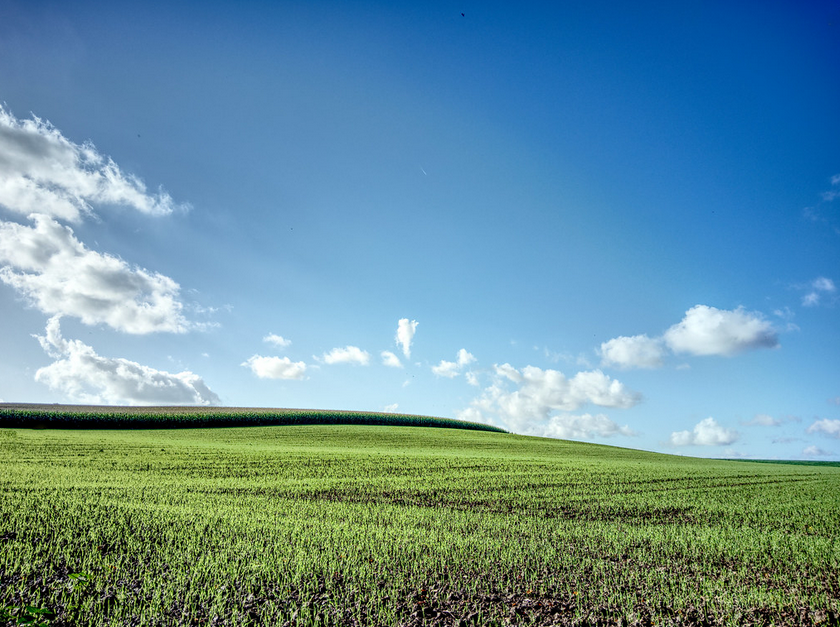 3c78c0f4b940543cfe0d7a284931acd71eab43c400c2842a215f03f837a22d44.image.png