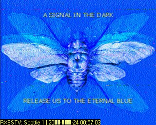 41bbda58caa4eb65197ab66ba3a1b6a4bee99128e3ff622fa719055a1cb321be.image.jpeg