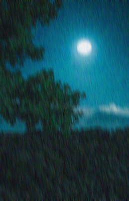 43eb7230a9491f0e0037732f25e485339667f981587c3d8792a5b003eec2f22f.image.png