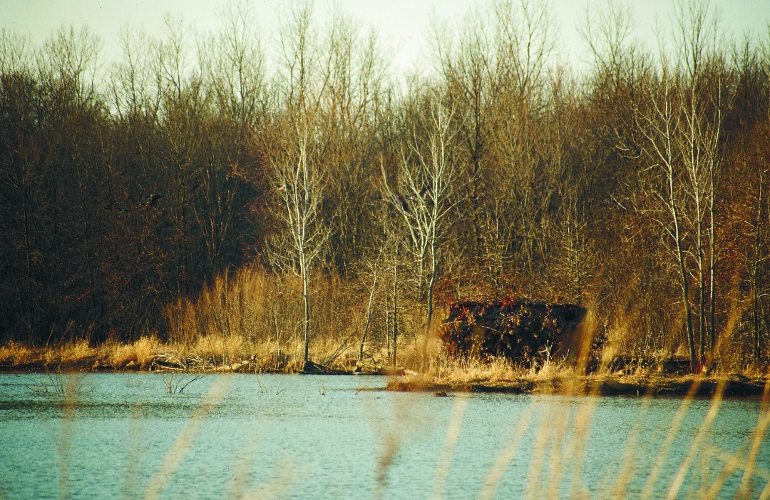 4606c86b98eacd84136d5b5f3853d996c9d01f87ff21b50e3544bd109c54616d.image.jpeg