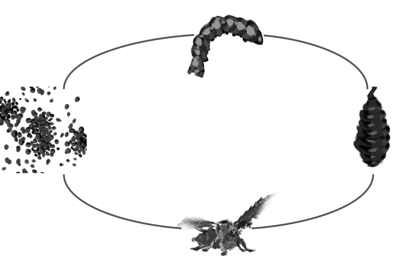 498f9028be9f58e410956c9e6cb2311062706df6e6ccec27e05367588a4b7353.image.png