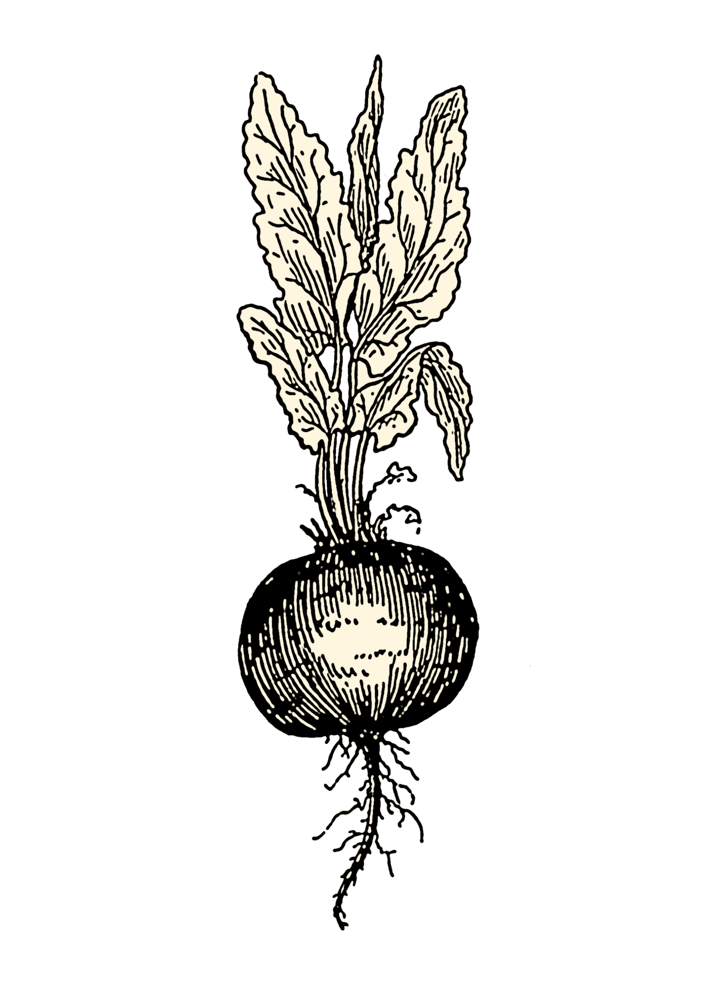 4a24d58a3a047b5fac03395700df06c4b087698194729508d9ba1b1e1764b7f8.image.png