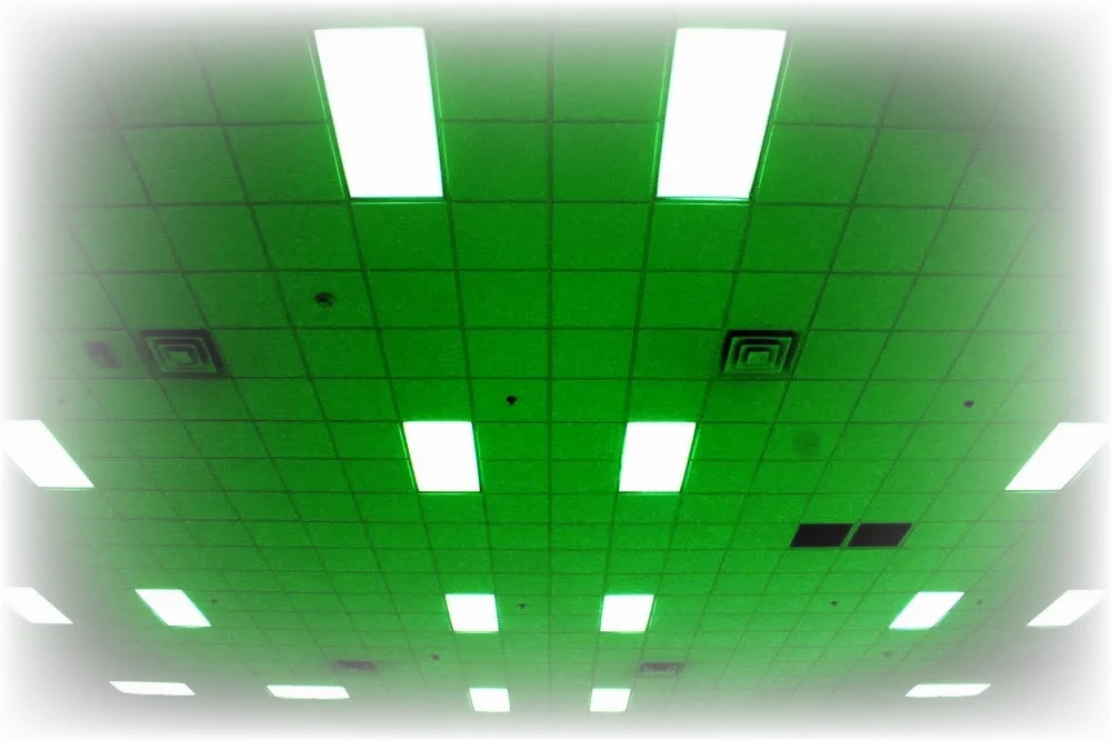4ca406248e6bcac74127d831d2ca3ccec485a21522fd41d7fe590e2df72168d9.image.jpeg