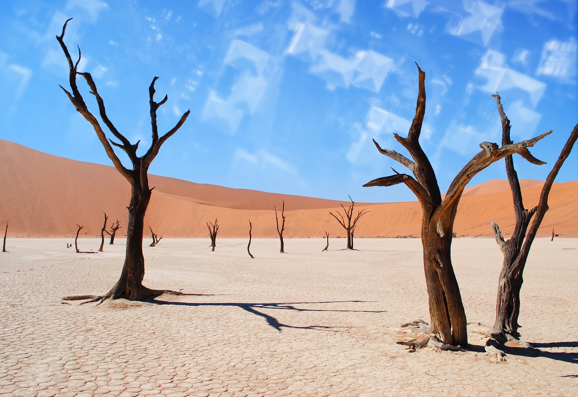 4d7f817f96ba3d8c6c838e274cad97a9702a1a1816c347490c1e14580013f88a.image.jpeg
