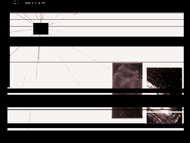 4e25b56348294940ffeaa91aa875d4bdbc5f8aa50f4d6321e2145956fb41d9d5.image.png