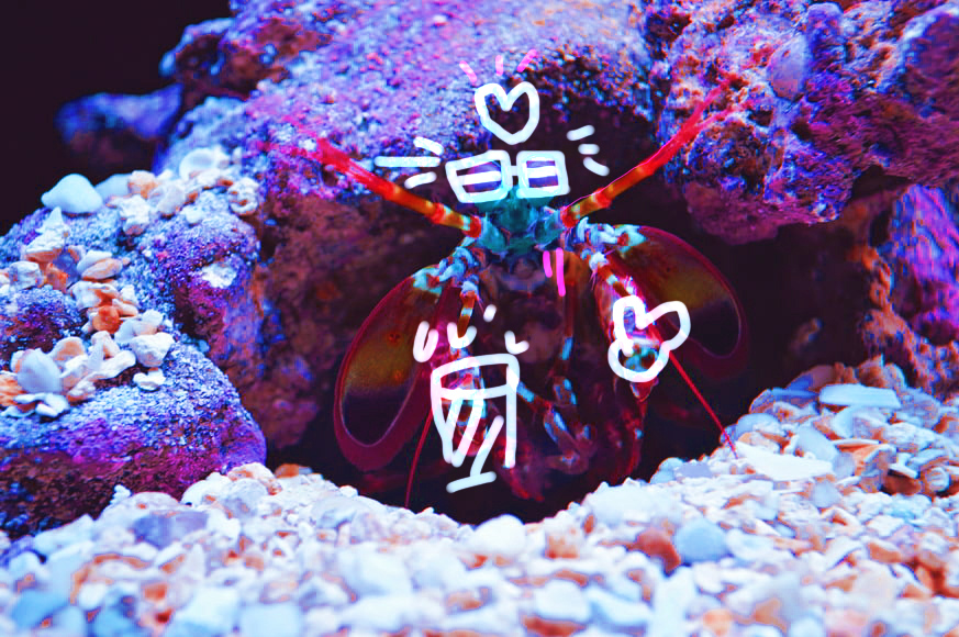 4e39be450c48e4fd3a05967d27246c208b39744ca421b341a2c57111d54dfee7.image.jpeg