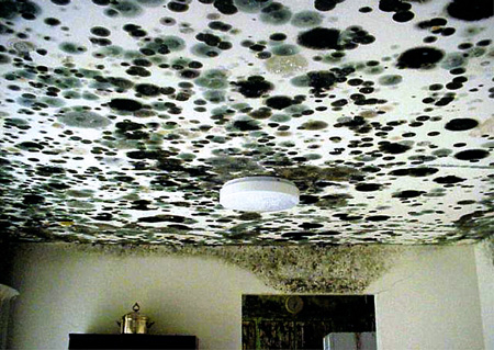 4f8c20da7f20baecc4c5e741c36377a5d00396ca0430a43815a3ac3a6d6b463b.image.jpeg