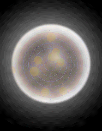 52dbea90d74c97ca998483b66677d7da843fc0f139608341cd1c756c16388e5a.image.gif