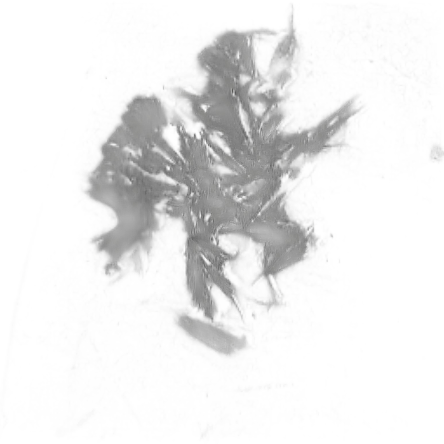 5346121a9239fb04e1d542f44c0161a478823fcbe97afc9bbde2dbfd01952479.image.png