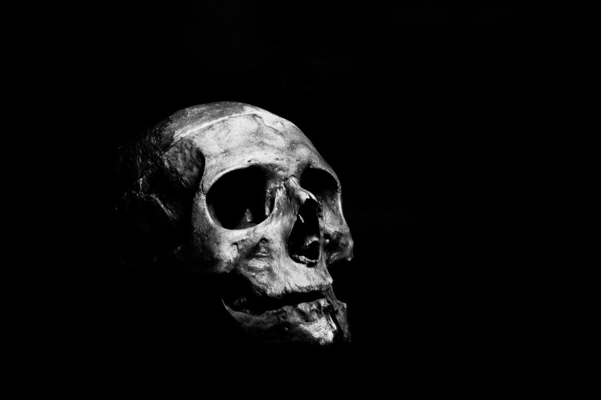 54039d1ffa86d6ee8b31a9a3d9c9da83d13db9b2c6ee26f4a313bd62970235bd.image.jpeg