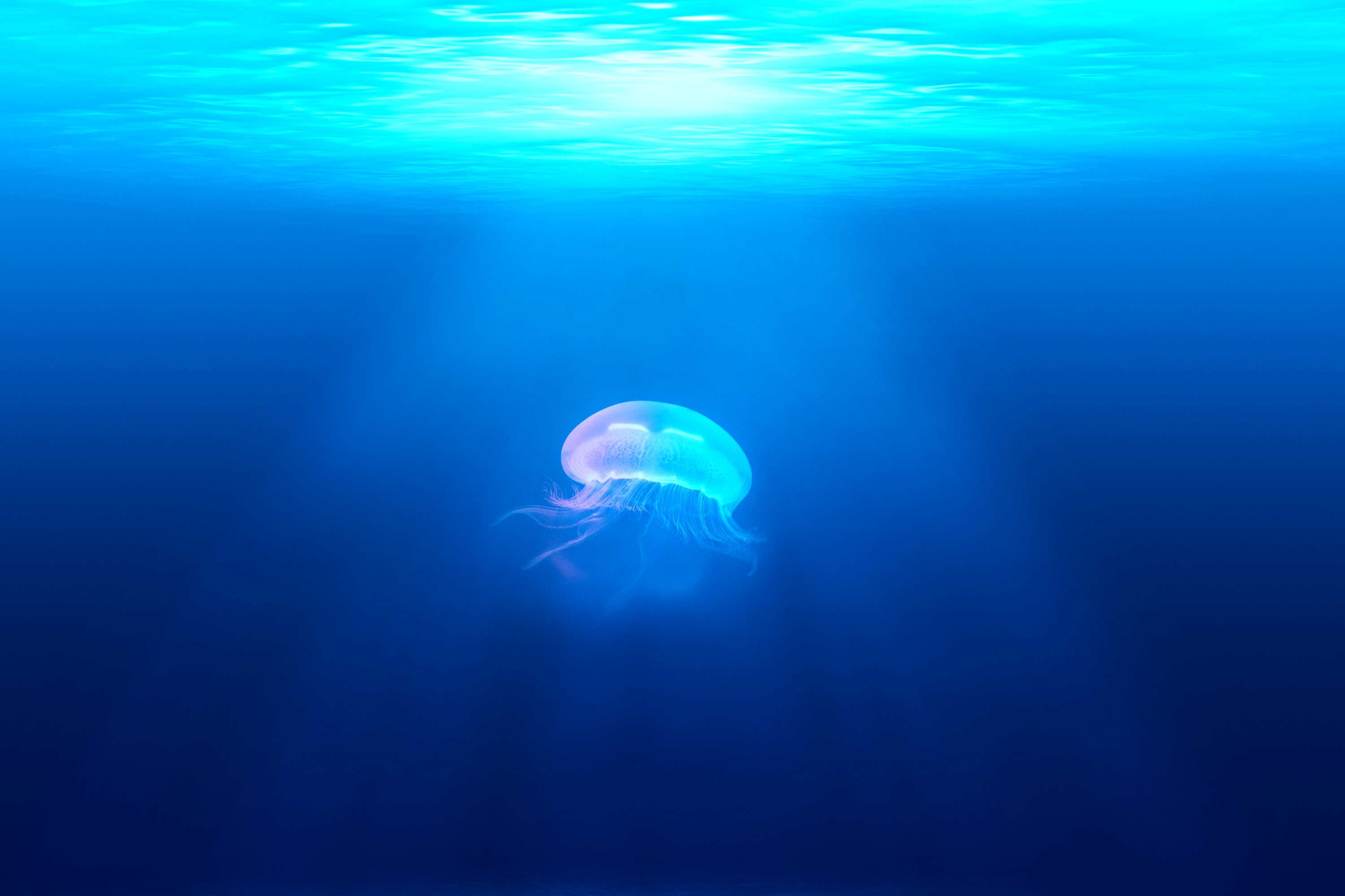 5949354b6d8cdae9d6baca1f8e6a10bceba00bb9bbd5b58c2b8f0bfb21ac0f23.image.jpeg