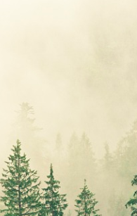 5f618ab5e9e17792b4035816ef4686b3272ecbd2cac04e1b11f6f02d86bfcd42.image.png
